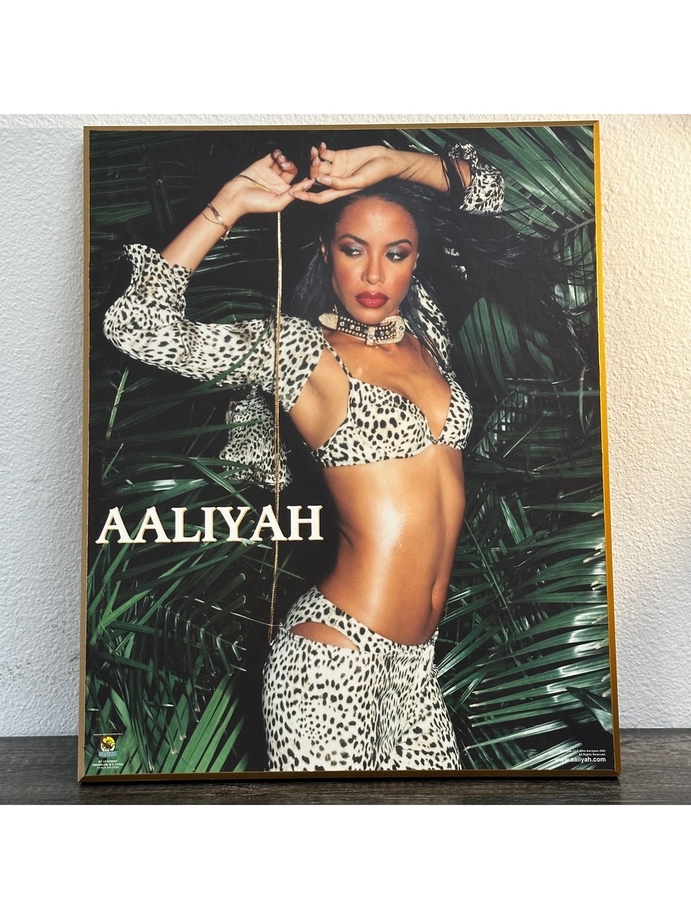 Aaliyah 2004 Framed Poster with Gold Trim